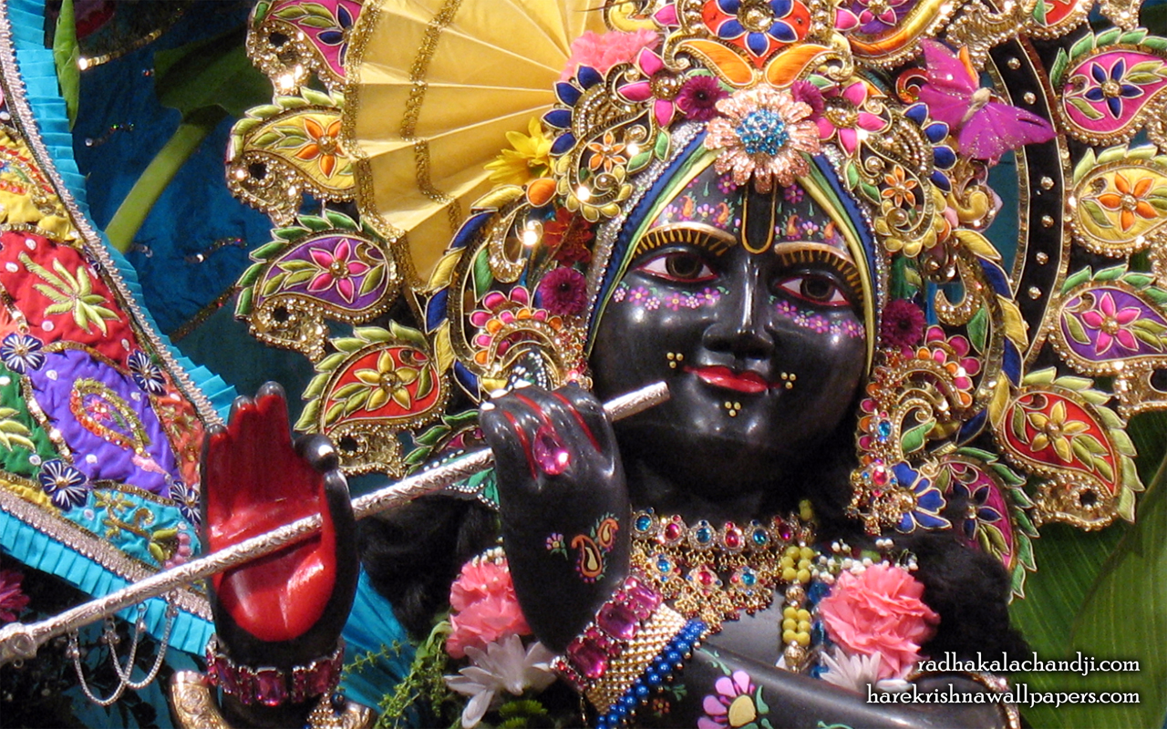 Sri Kalachanda Close up Wallpaper (002) Size 1280x800 Download