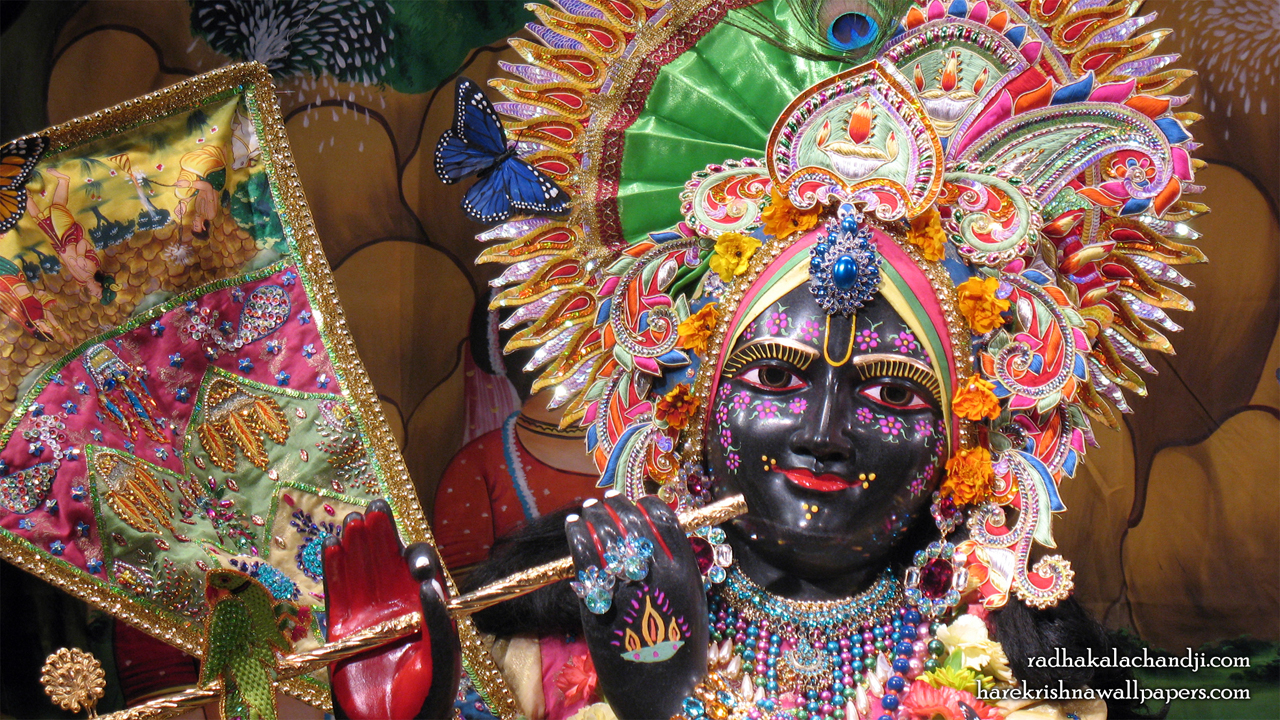 Sri Kalachanda Close up Wallpaper (005) Size 1280x720 Download