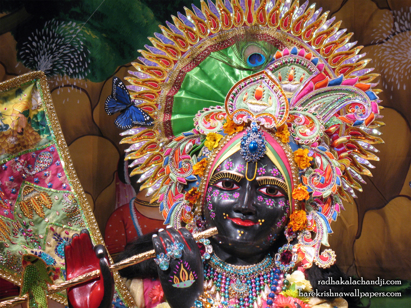 Sri Kalachanda Close up Wallpaper (005) Size 800x600 Download