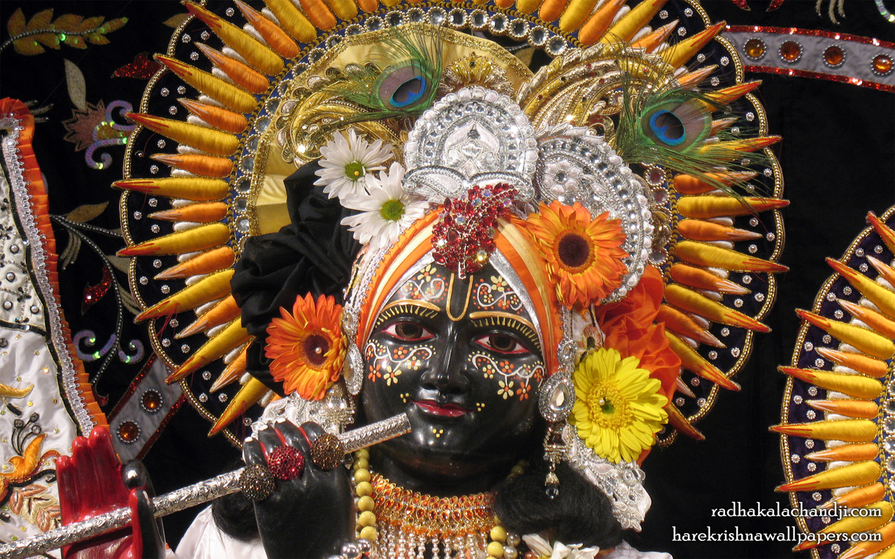 Sri Kalachanda Close up Wallpaper (007) Size 1280x800 Download
