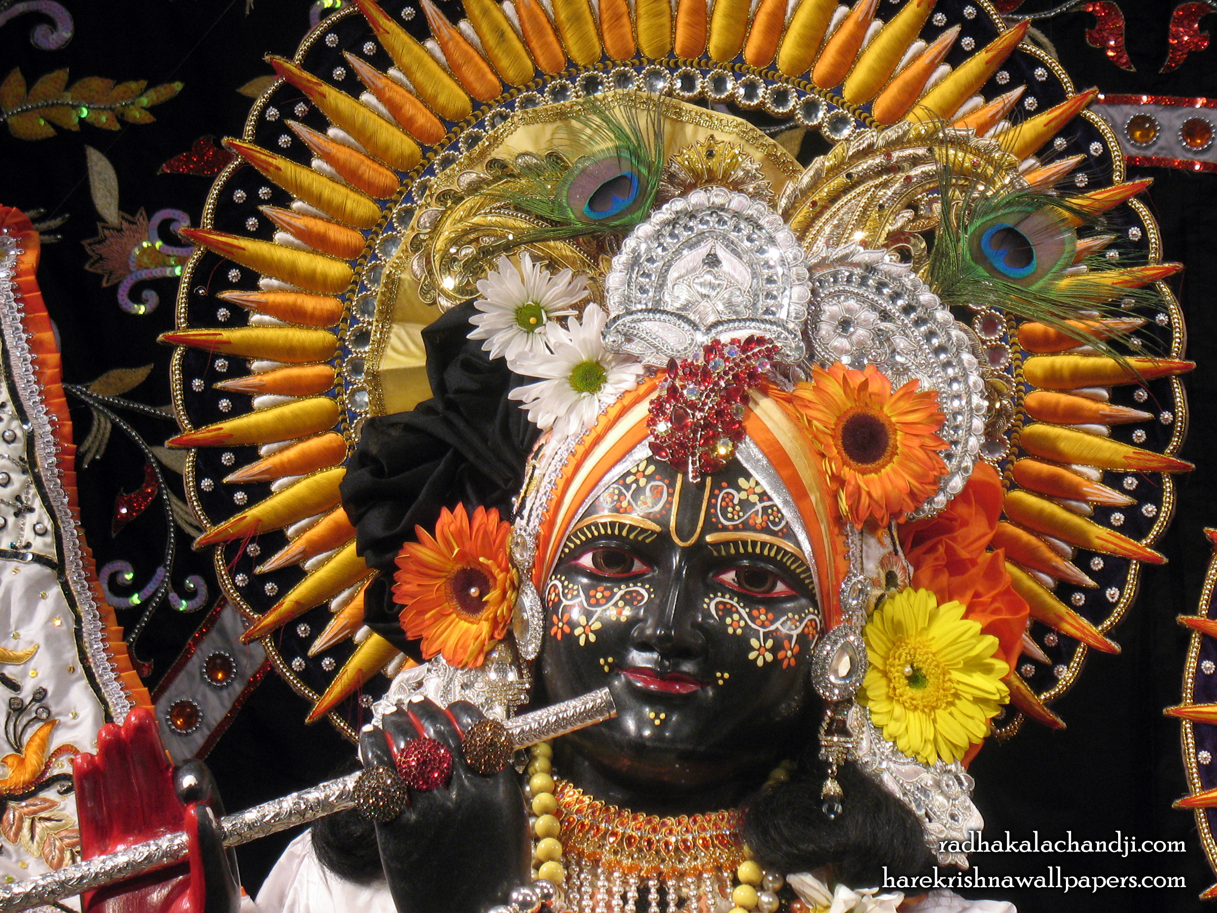 Sri Kalachanda Close up Wallpaper (007) Size 2400x1800 Download