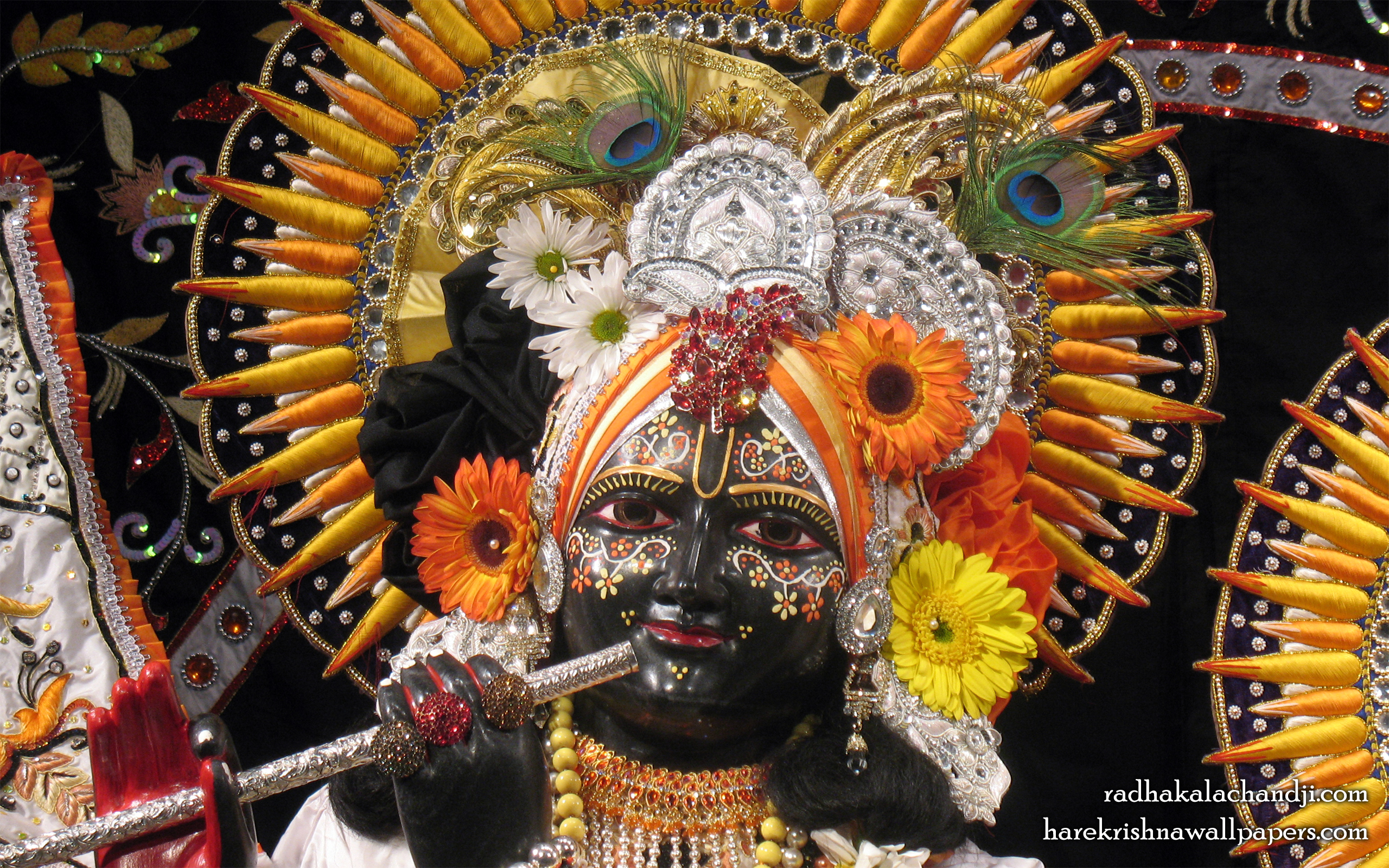 Sri Kalachanda Close up Wallpaper (007) Size 2560x1600 Download