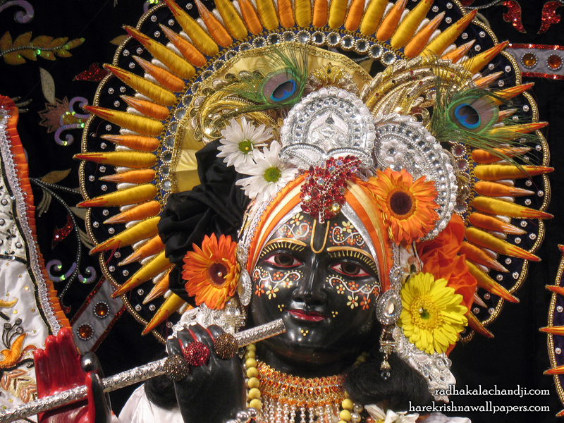 Sri Kalachanda Close up Wallpaper (007) Size 800x600 Download
