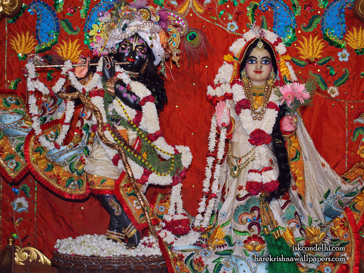 Sri Sri Radha Parthasarathi Wallpaper (001) Size1200x900 Download