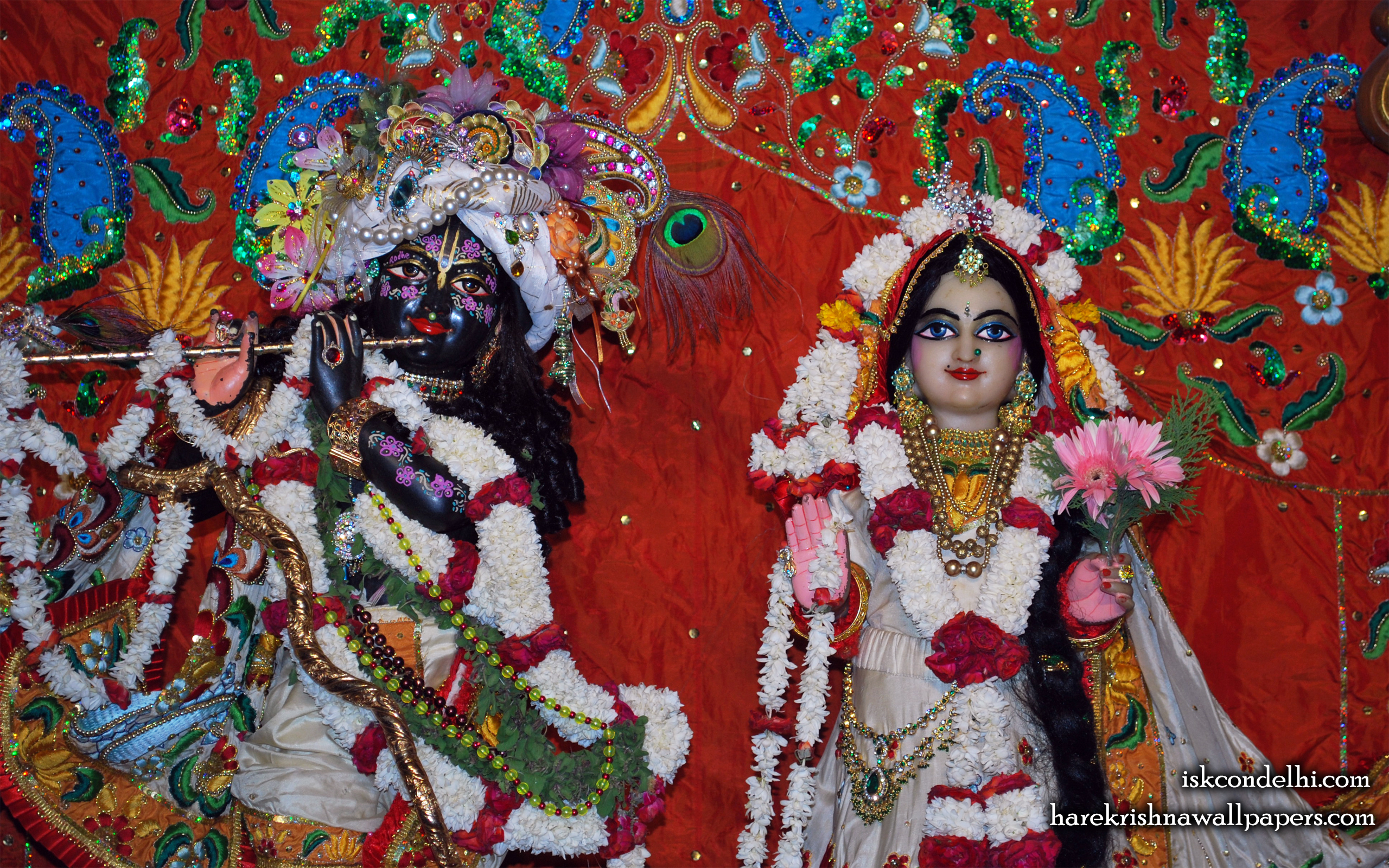 Sri Sri Radha Parthasarathi Close up Wallpaper (001) Size 2560x1600 Download