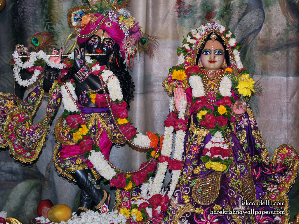 Sri Sri Radha Parthasarathi Wallpaper (002) Size 1024x768 Download