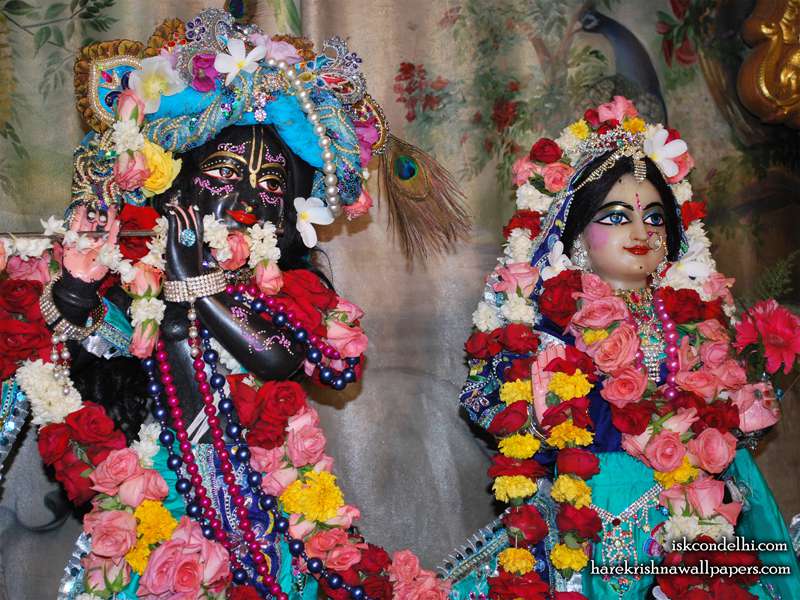 Sri Sri Radha Parthasarathi Close up Wallpaper (003)