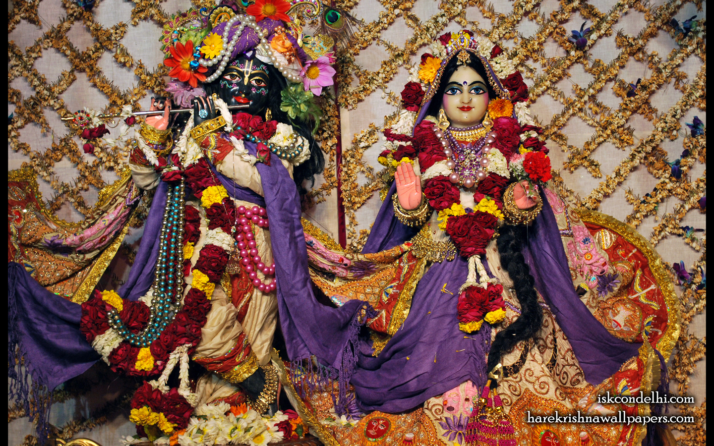 Sri Sri Radha Parthasarathi Wallpaper (005) Size 1440x900 Download