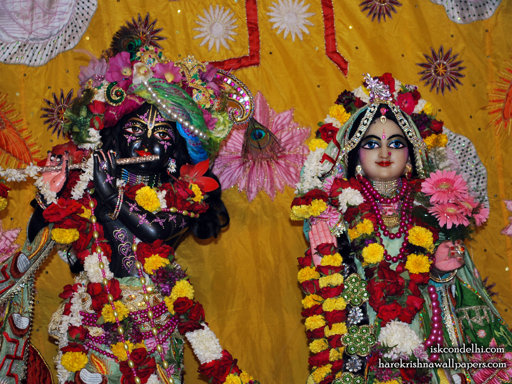 Sri Sri Radha Parthasarathi Close up Wallpaper (005) Size 1024x768 Download