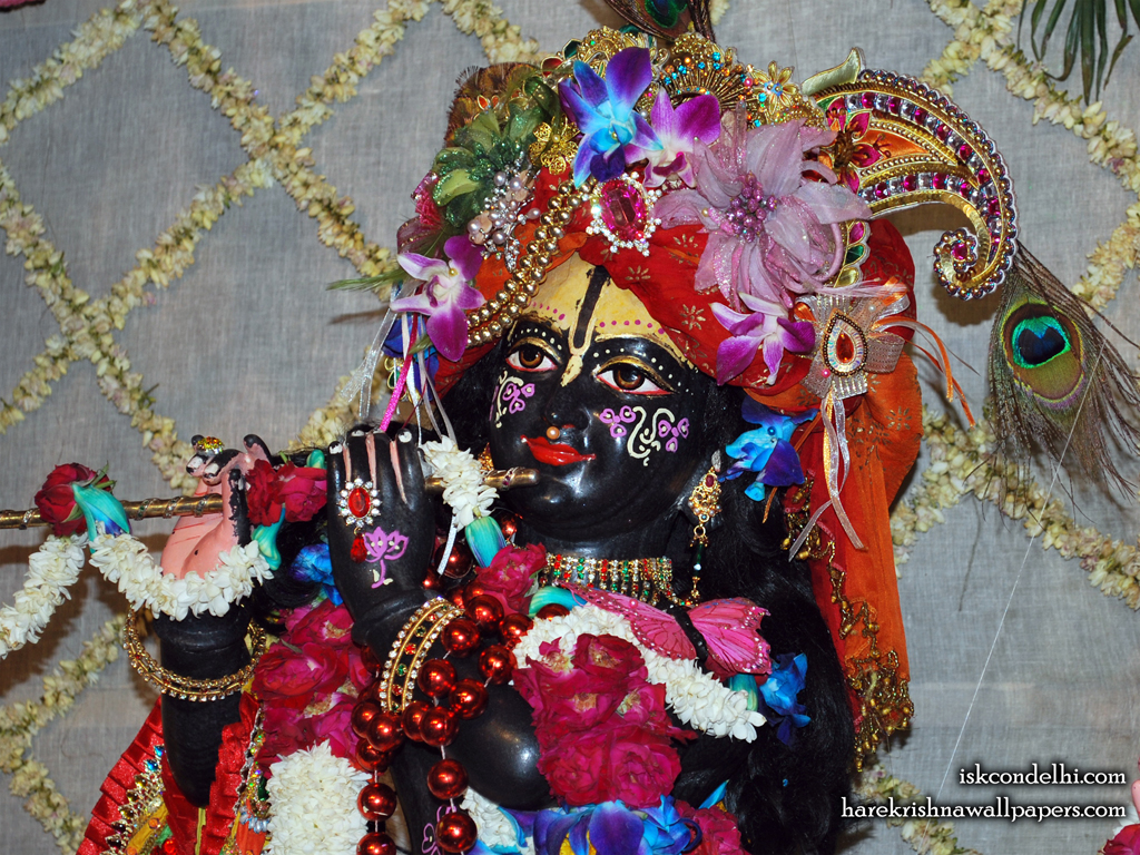Sri Parthasarathi Close up Wallpaper (006) Size 1024x768 Download