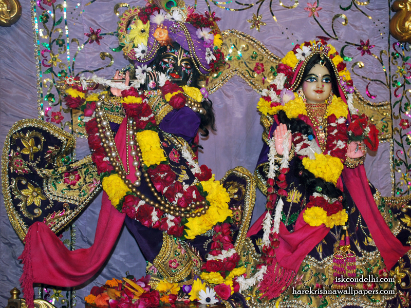 Sri Sri Radha Parthasarathi Wallpaper (009) Size 800x600 Download