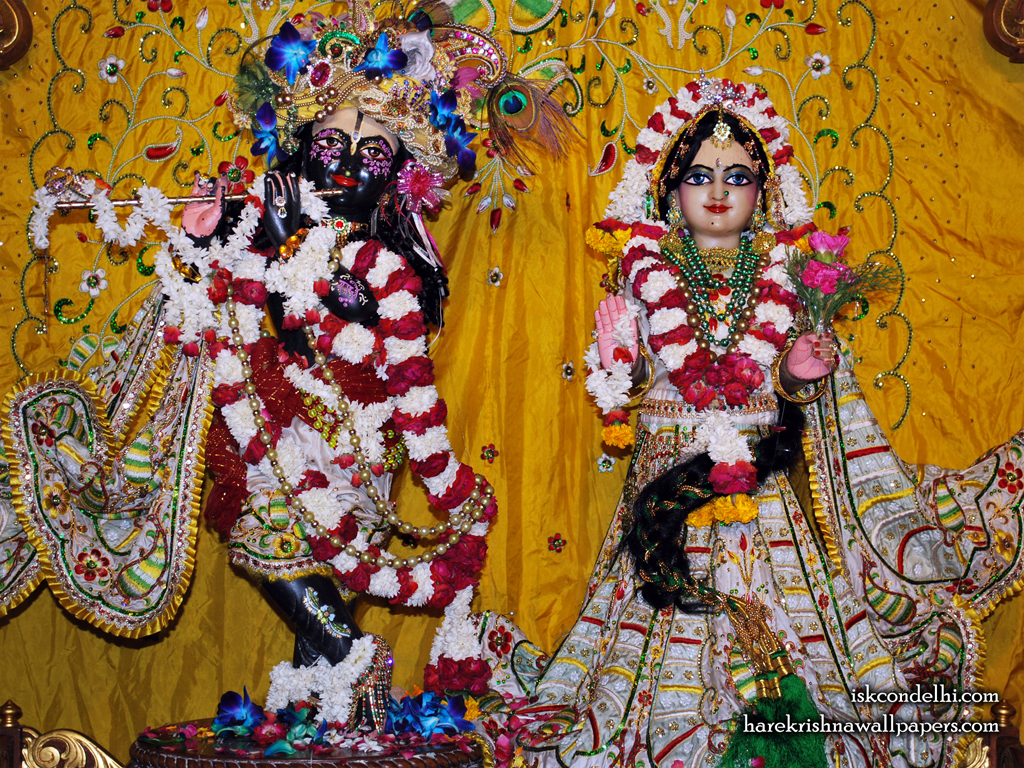 Sri Sri Radha Parthasarathi Wallpaper (010) Size 1024x768 Download