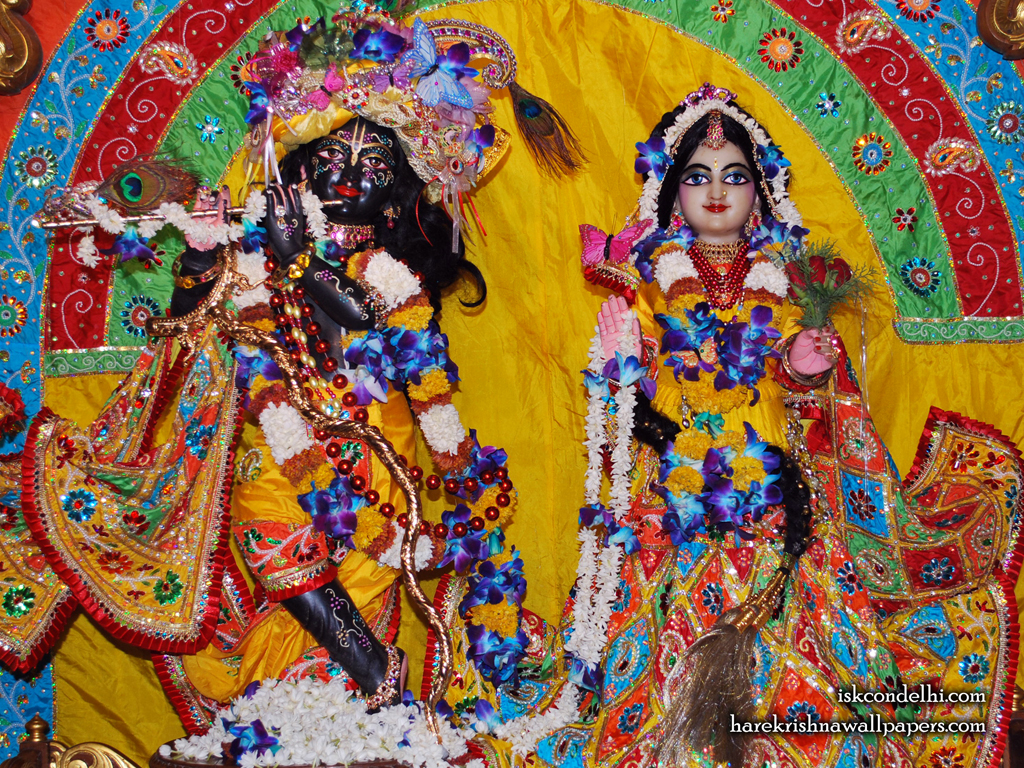 Sri Sri Radha Parthasarathi Wallpaper (012) Size 1024x768 Download