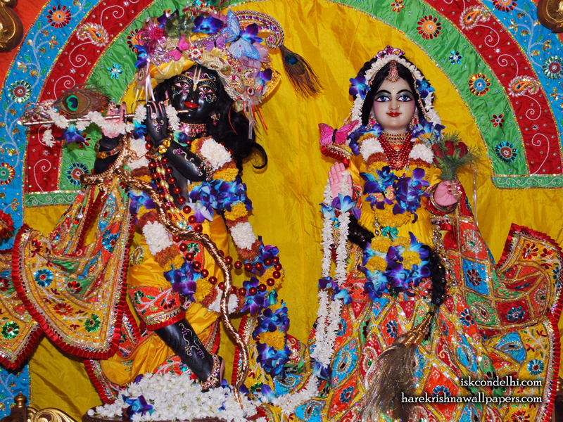 Sri Sri Radha Parthasarathi Wallpaper (012) Size 800x600 Download