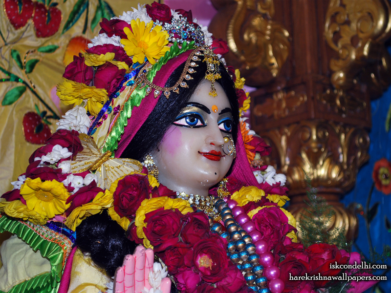 Sri Radha Close up Wallpaper (013) Size 800x600 Download