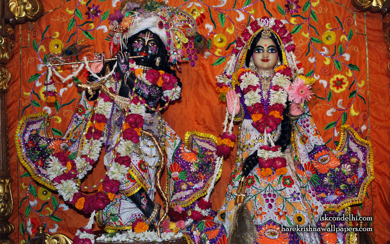 Sri Sri Radha Parthasarathi Wallpaper (013) Size 1280x800 Download