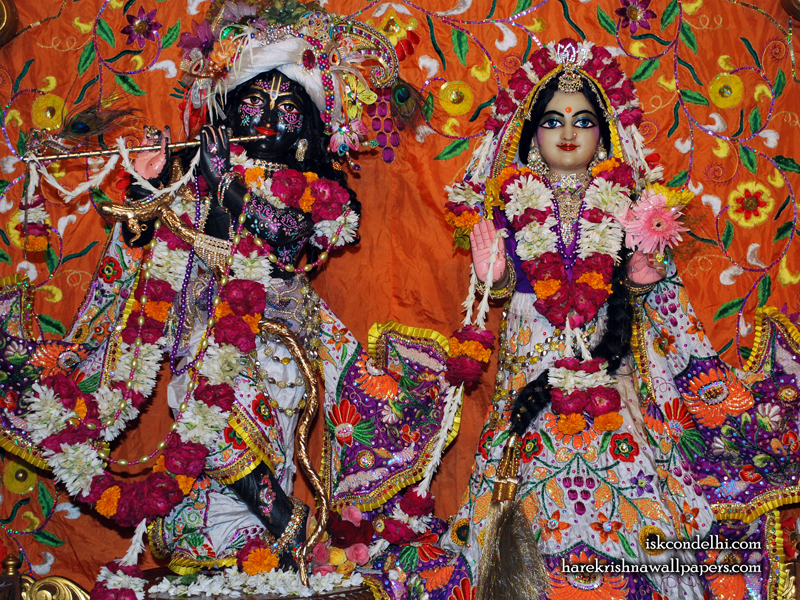 Sri Sri Radha Parthasarathi Wallpaper (013) Size 800x600 Download