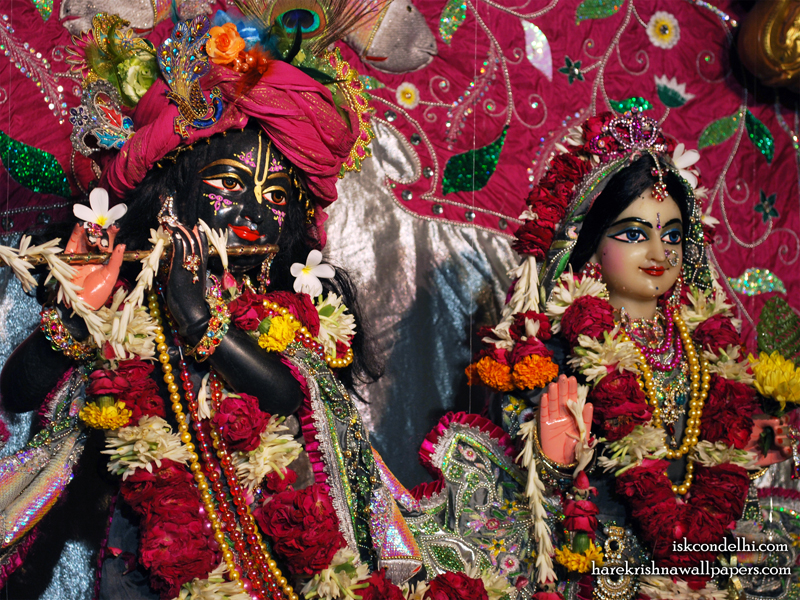 Sri Sri Radha Parthasarathi Close up Wallpaper (014) Size 800x600 Download