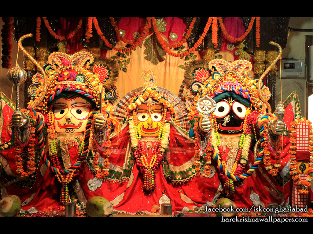 Jagannath Baladeva Subhadra Wallpaper (006) Size 1024x768 Download