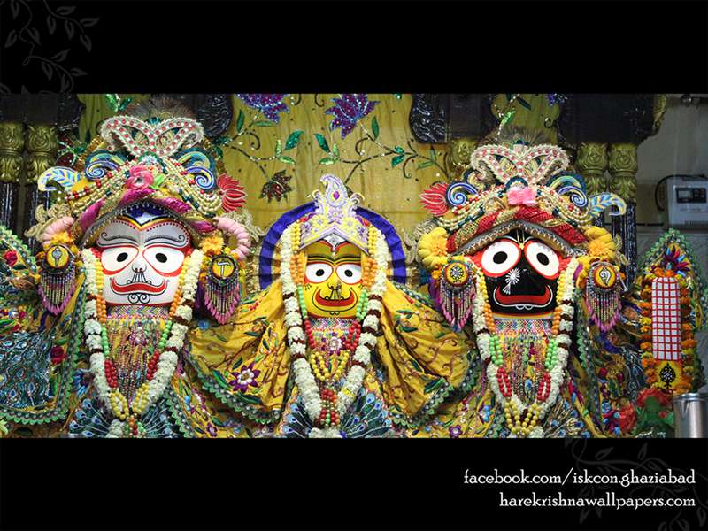 Jagannath Baladeva Subhadra Wallpaper (007)