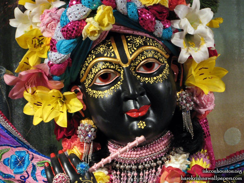 Sri Nilamadhava Close up Wallpaper (001)