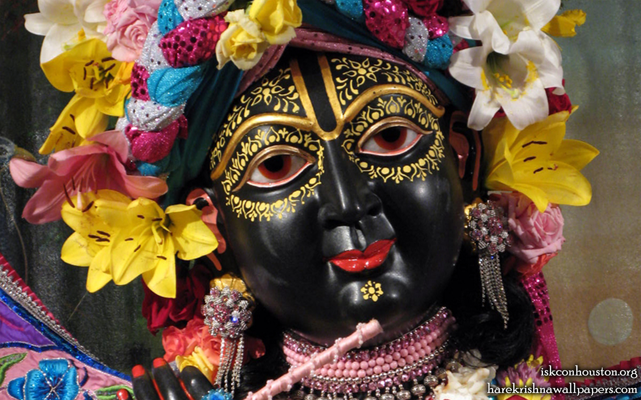 Sri Nilamadhava Close up Wallpaper (001) Size 1280x800 Download