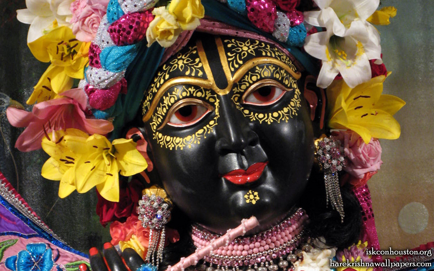 Sri Nilamadhava Close up Wallpaper (001) Size 1680x1050 Download