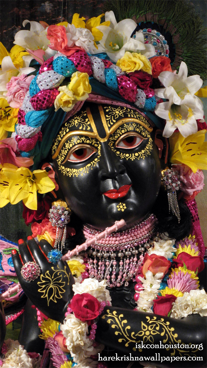 Sri Nilamadhava Close up Wallpaper (001) Size 675x1200 Download
