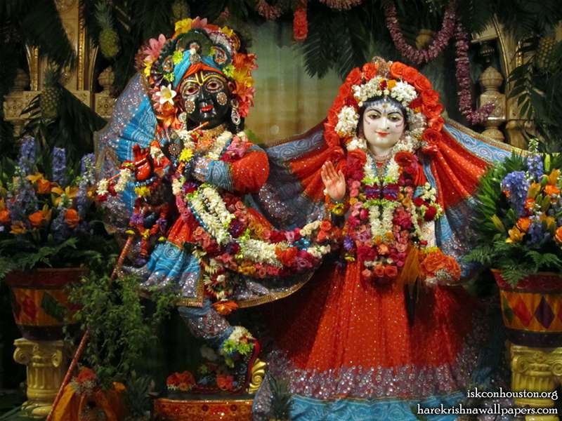 Sri Sri Radha Nilamadhava Wallpaper (001)