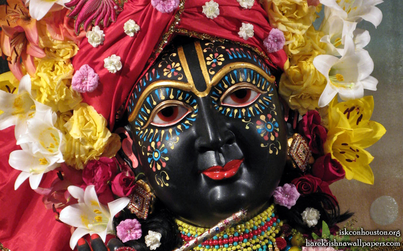 Sri Nilamadhava Close up Wallpaper (002) Size 1280x800 Download