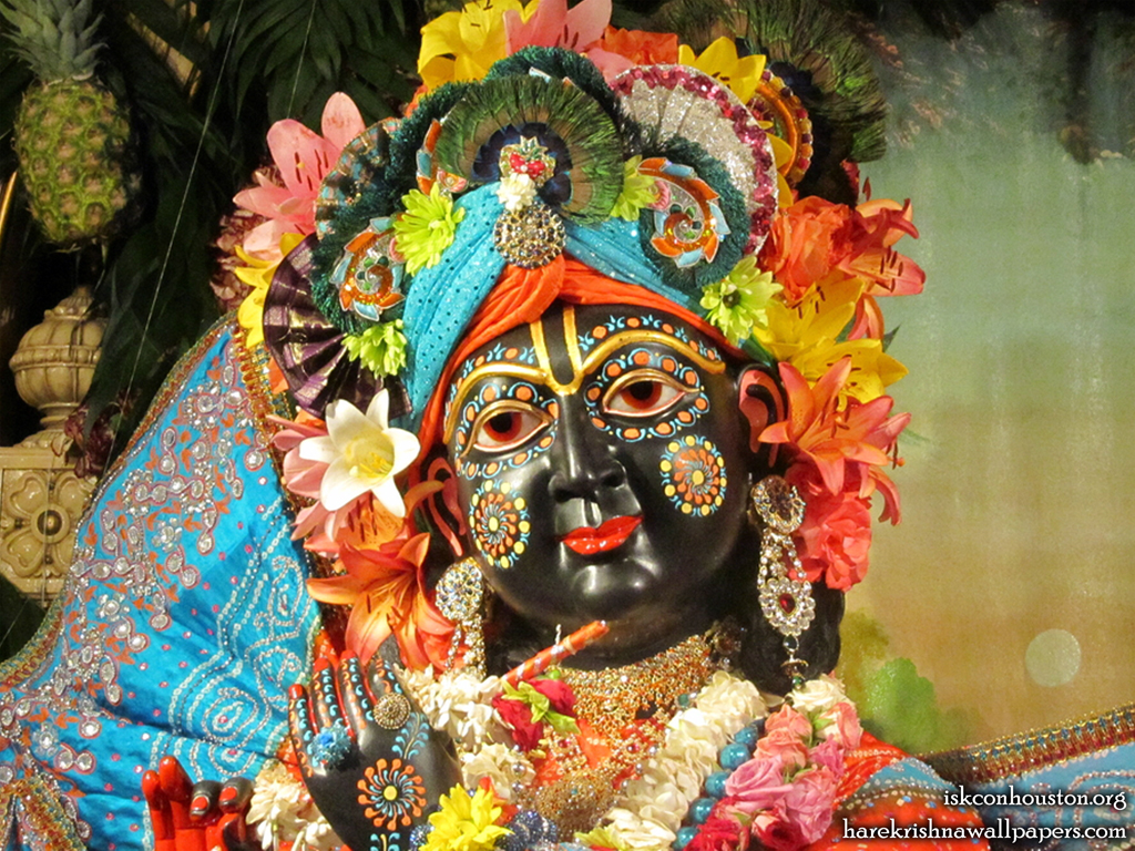 Sri Nilamadhava Close up Wallpaper (004) Size 1024x768 Download