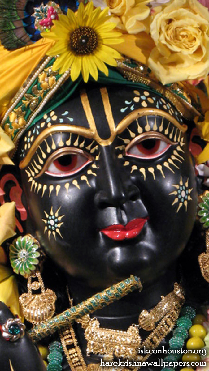 Sri Nilamadhava Close up Wallpaper (006) Size 675x1200 Download