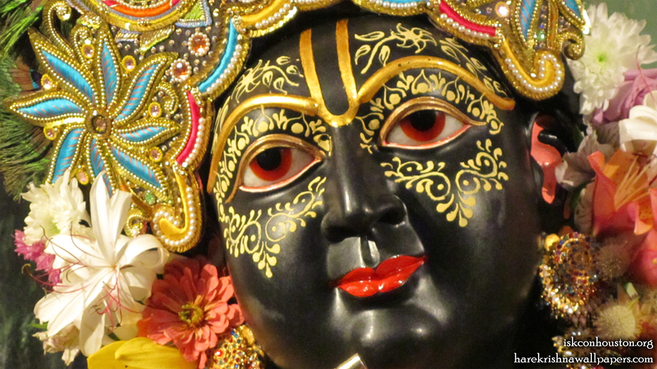 Sri Nilamadhava Close up Wallpaper (008) Size1280x720 Download