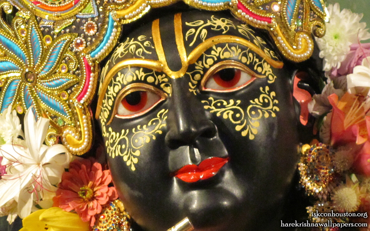 Sri Nilamadhava Close up Wallpaper (008) Size 1280x800 Download