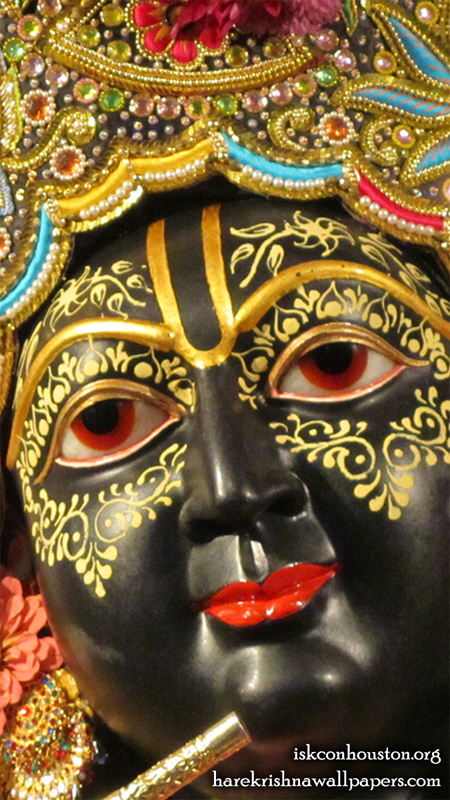 Sri Nilamadhava Close up Wallpaper (008) Size 450x800 Download