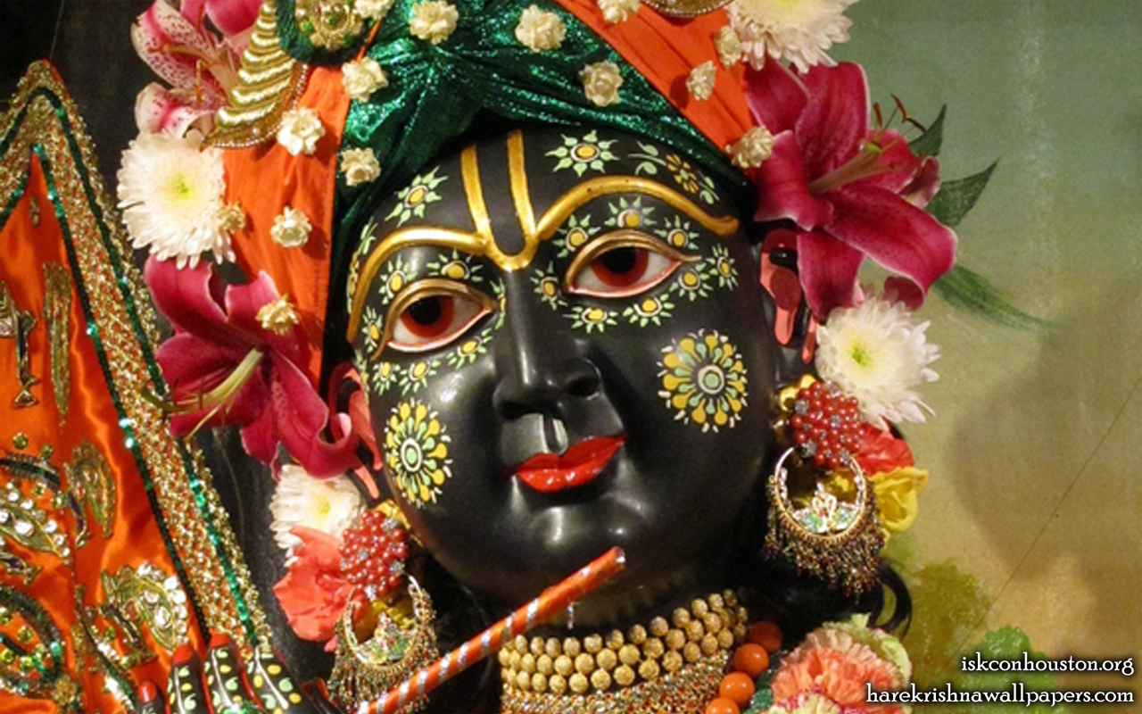 Sri Nilamadhava Close up Wallpaper (009) Size 1280x800 Download