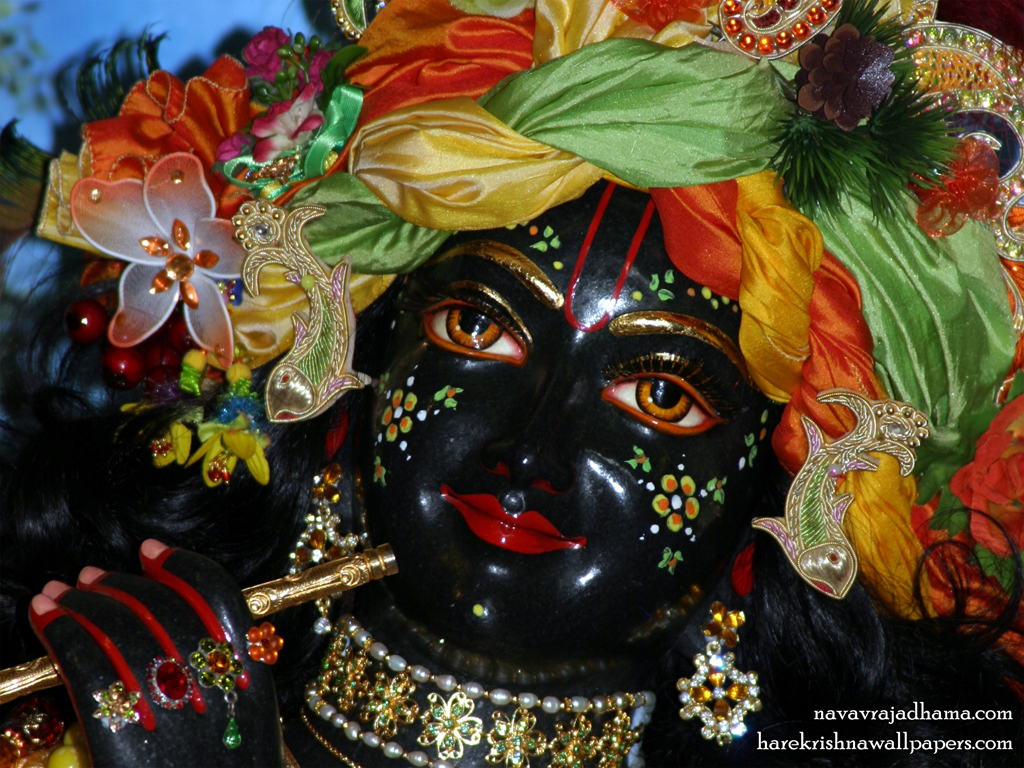 Sri Shyamsundar Close up Wallpaper (005) Size 1024x768 Download
