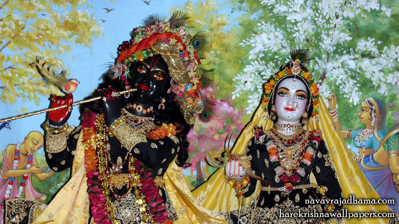 Sri Sri Radha Shyamsundar Close up Wallpaper (010) Size1280x720 Download