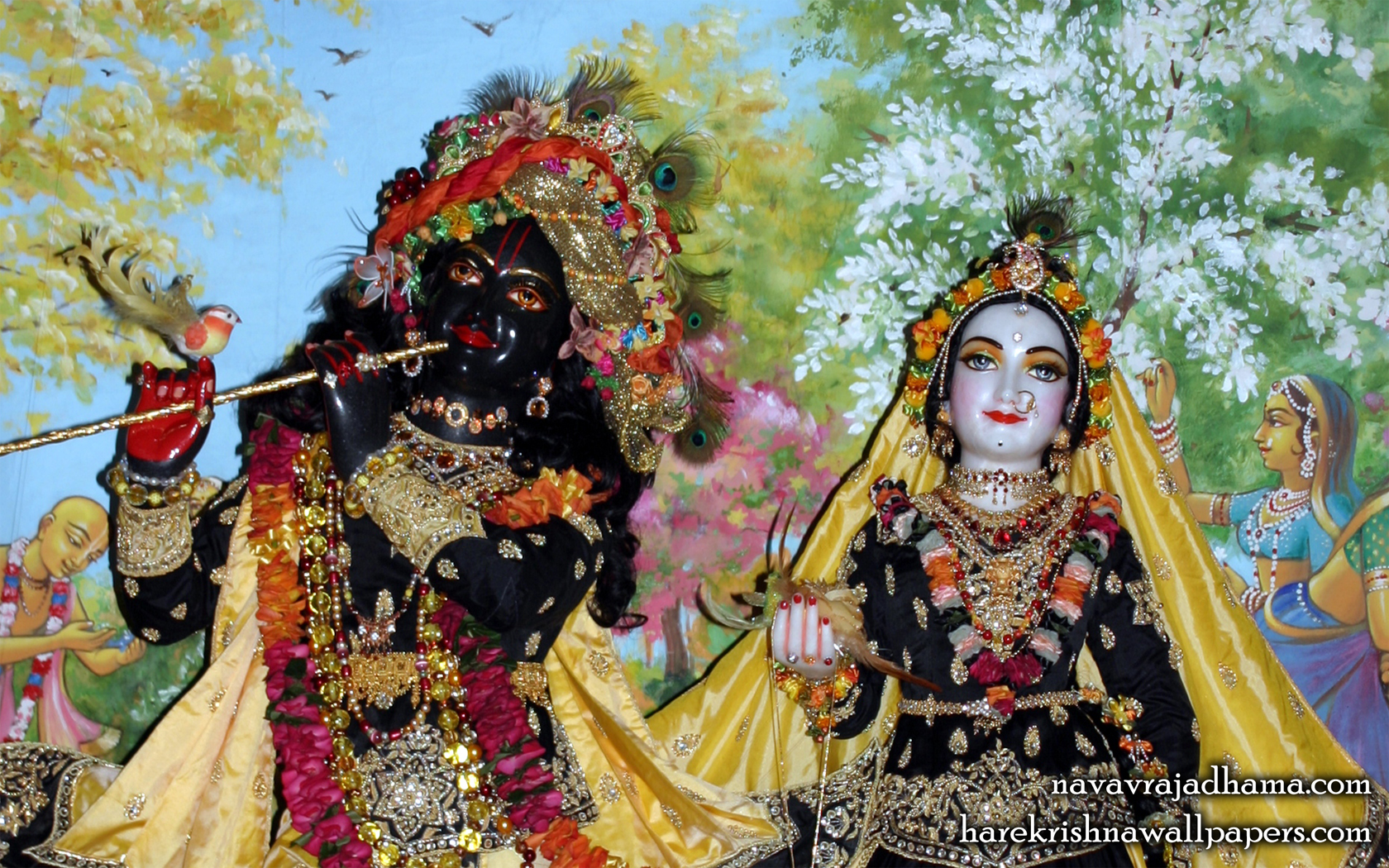 Sri Sri Radha Shyamsundar Close up Wallpaper (010) Size 1680x1050 Download