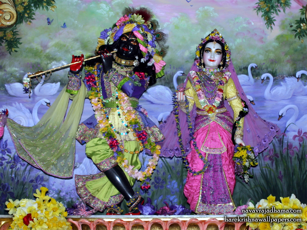 Sri Sri Radha Shyamsundar Wallpaper (028) Size 1024x768 Download