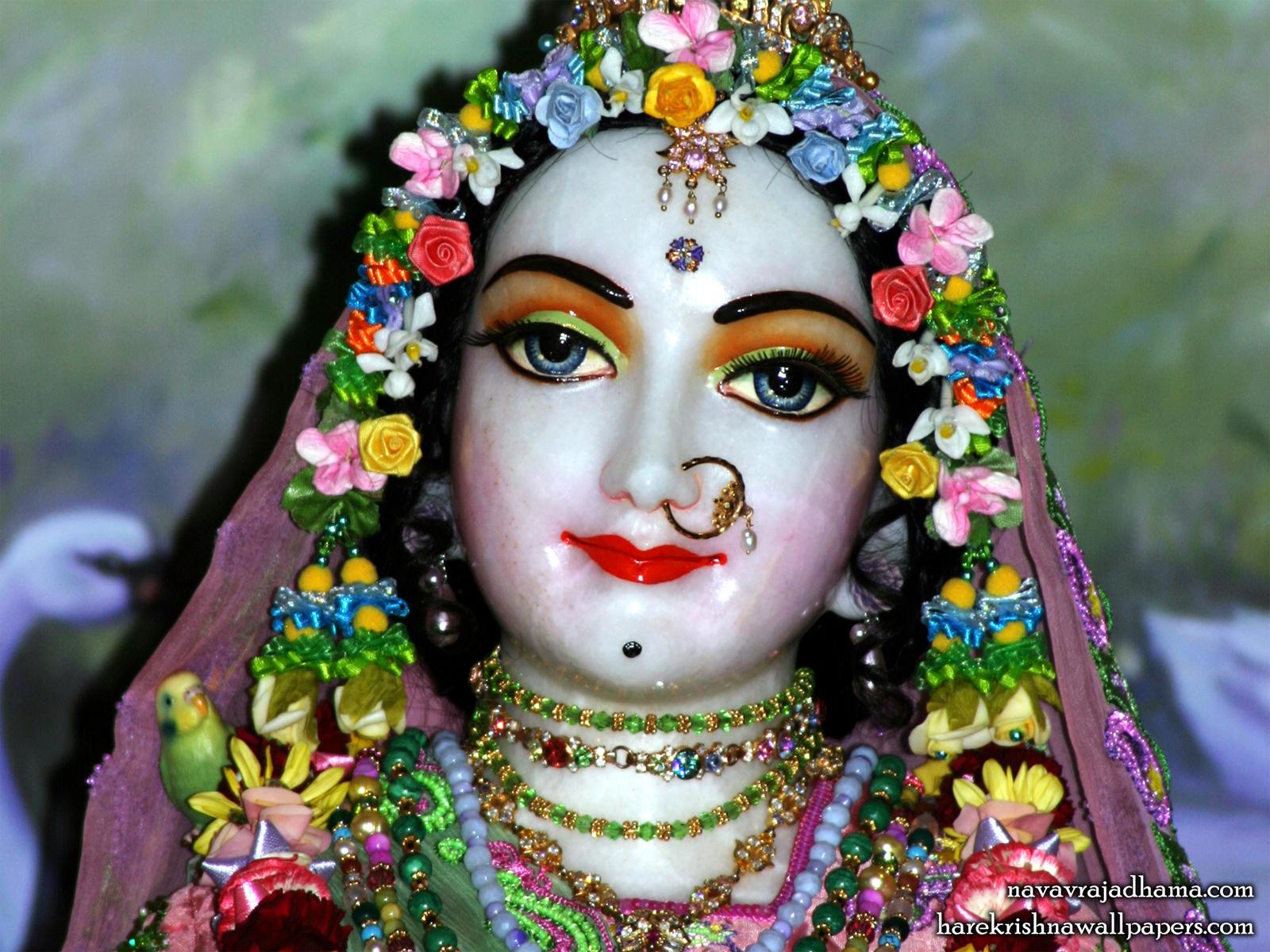 Sri Radha Close up Wallpaper (031) Size1600x1200 Download