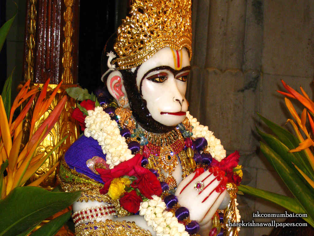 Sri Hanuman Face Wallpaper (001) Size 1024x768 Download