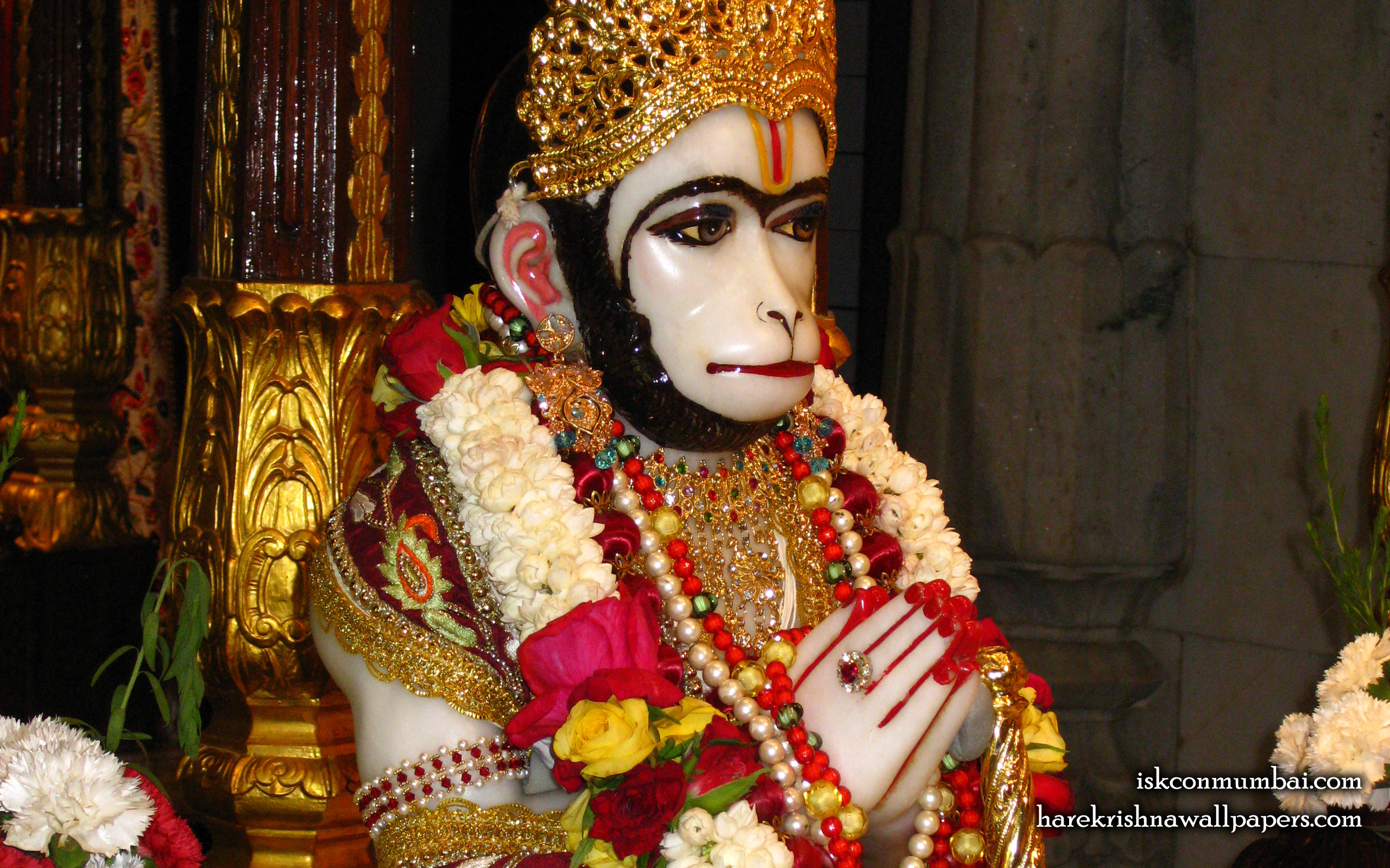 Sri Hanuman Face Wallpaper (002) Size 2560x1600 Download