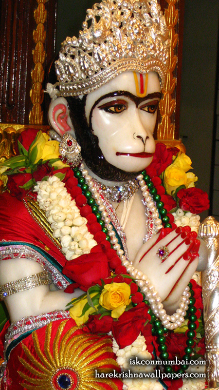 Sri Hanuman Face Wallpaper (004) Size 450x800 Download