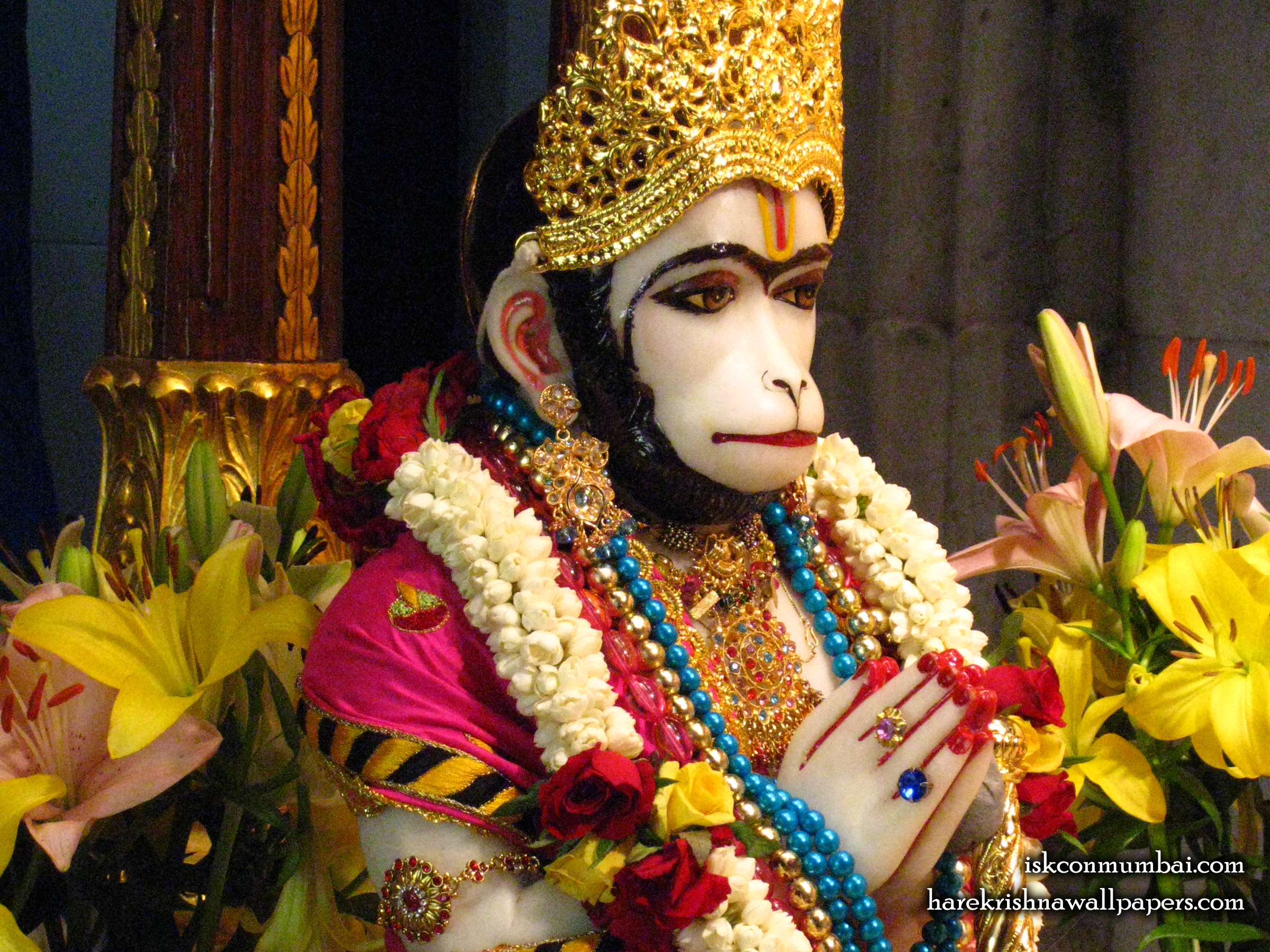 Sri Hanuman Face Wallpaper (010) Size 2400x1800 Download