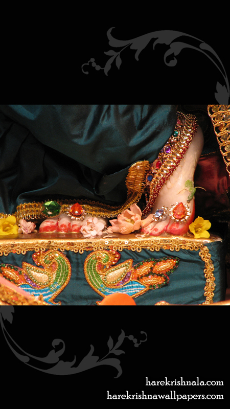 Sri Dwarakadhish Feet Wallpaper (001) Size 450x800 Download