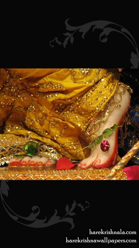 Sri Dwarakadhish Feet Wallpaper (004) Size 450x800 Download