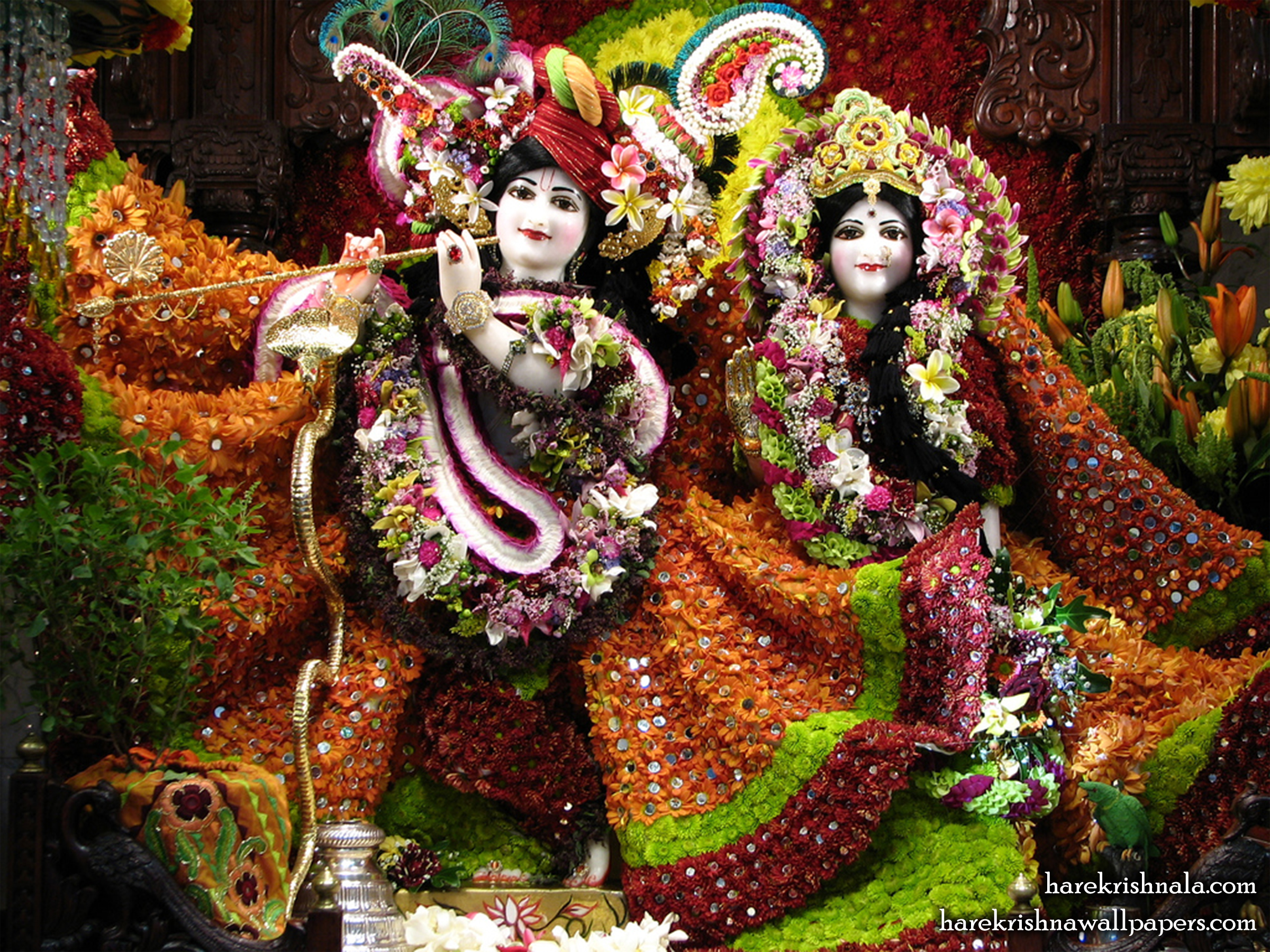 Sri Sri Rukmini Dwarkadhish Wallpaper (006) Size 2400x1800 Download