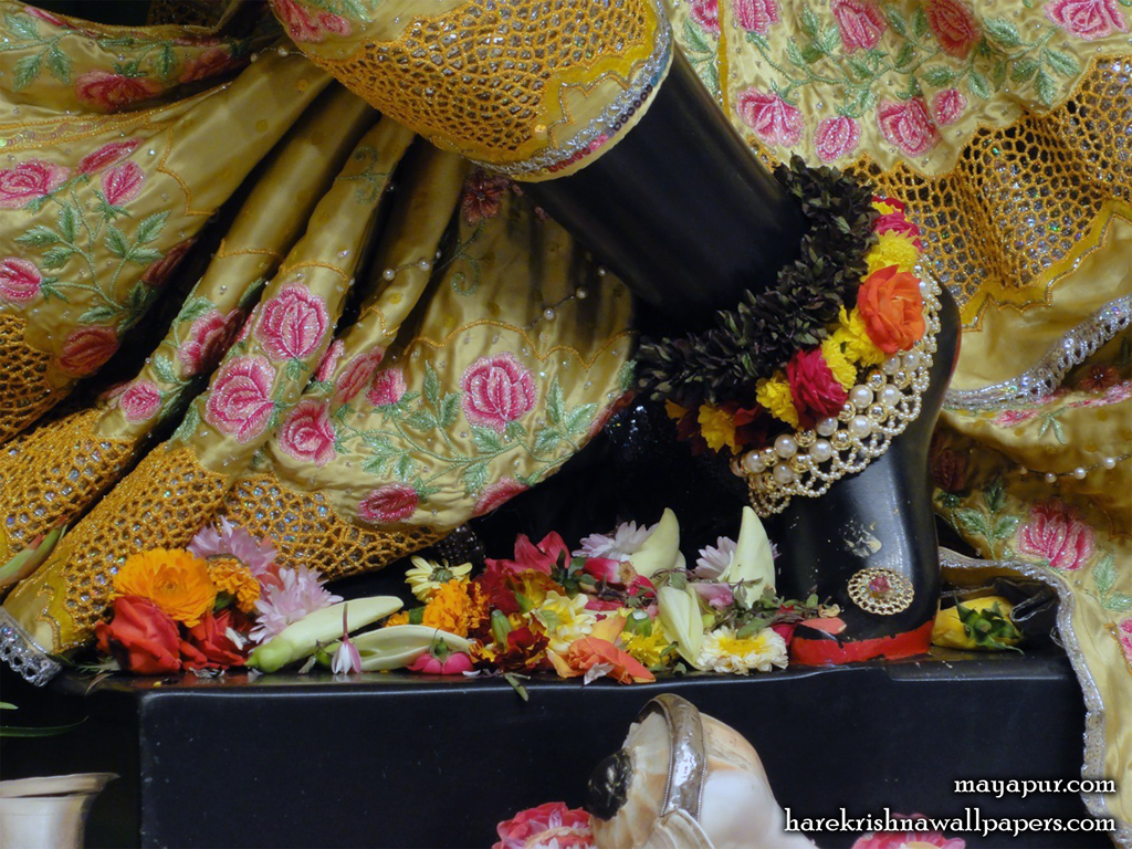 Sri Madhava Feet Wallpaper (003) Size 1024x768 Download