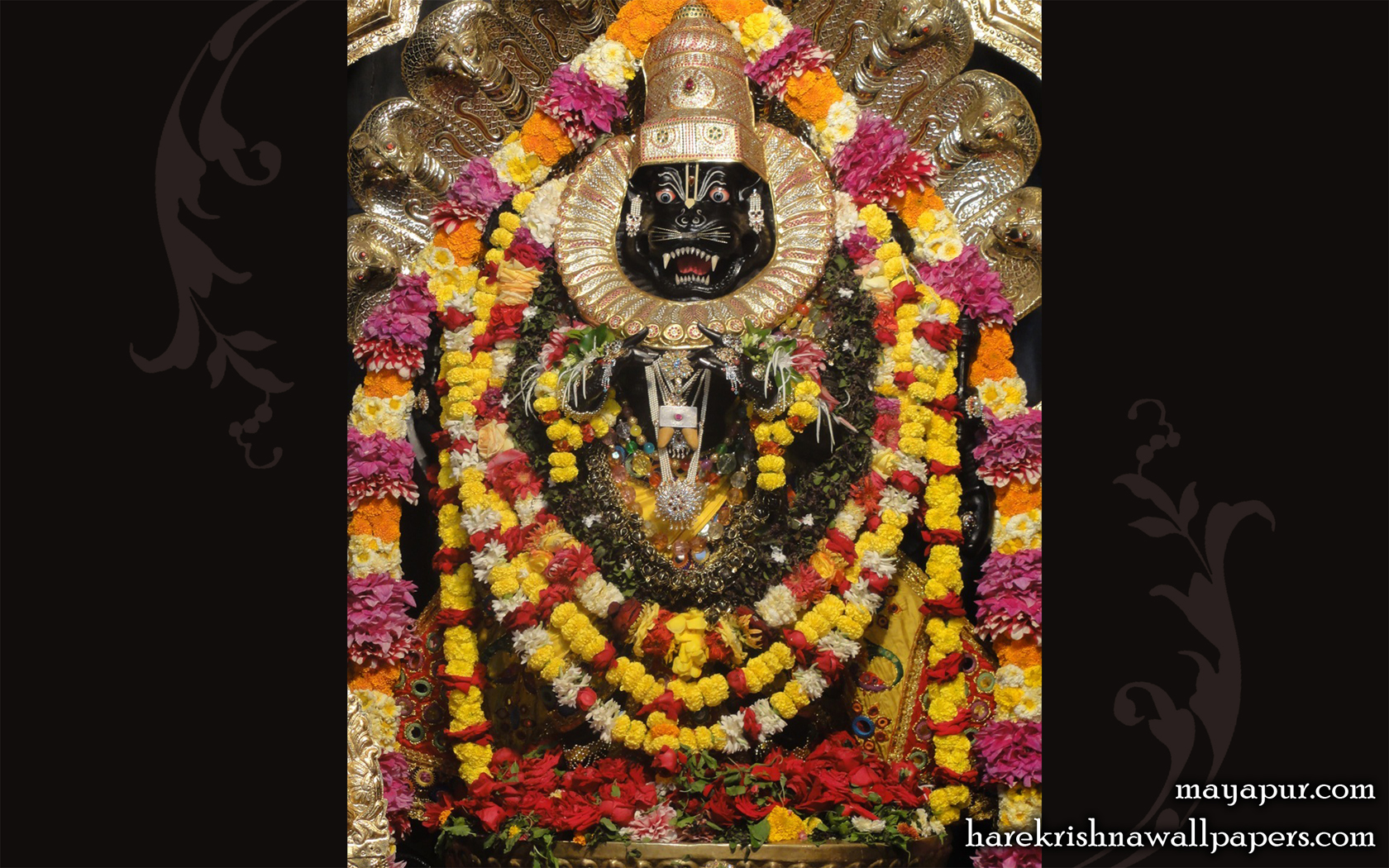 Sri Narasimha Deva Wallpaper (003) Size 1680x1050 Download